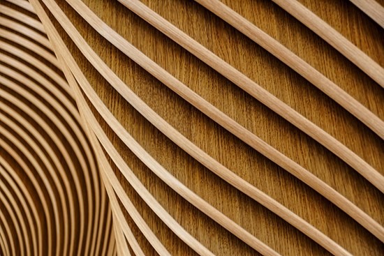 Finlandia: un uso innovativo del legno permette di ridurre la dipendenza da materiali scarsi, costosi e inquinanti, e stimola una bioeconomia circolare
