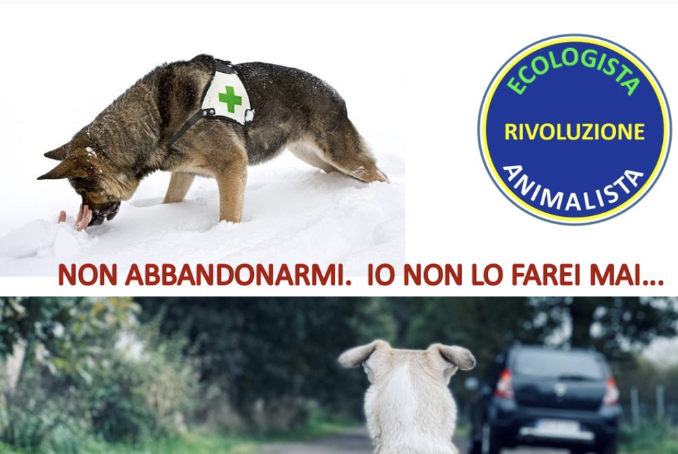 ANIMALI, REA PROMUOVE LA CAMPAGNA 2023 CONTRO L’ABBANDONO E PRO ADOZIONE