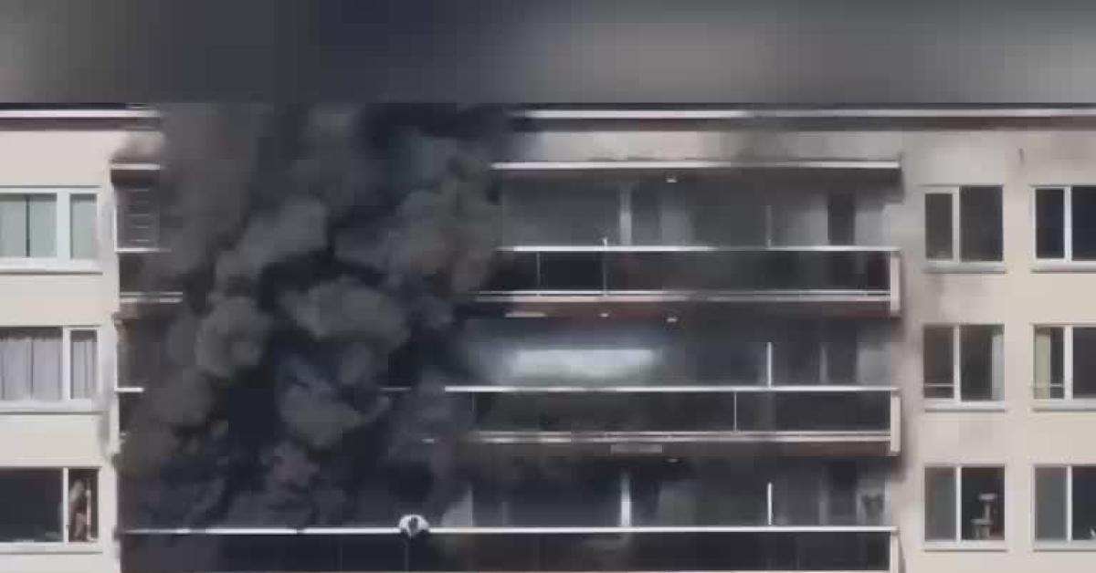 Anversa, incendio in un condominio con oltre 200 residenti per guasto elettrico: almeno 6 morti e diversi feriti gravi - VIDEO