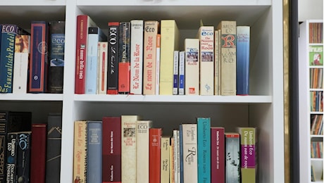 Bologna, la biblioteca di Umberto Eco apre a Palazzo Poggi: i 32mila volumi della casa-studio milanese