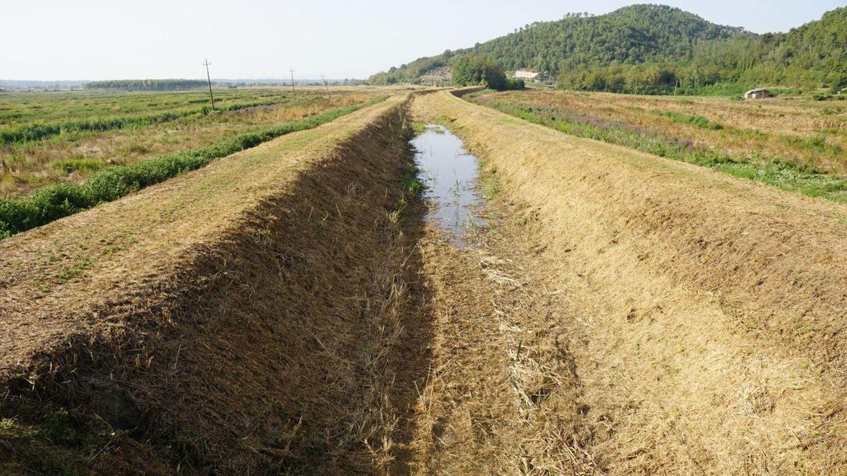 Va bene l’ordinanza, ma aziende allo stremo
