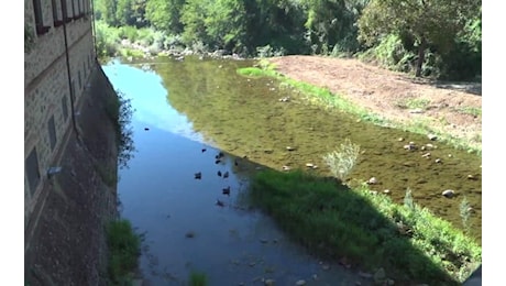 Pescia, ventenne aggredita e quasi annegata sul fiume: arrestato un 38enne