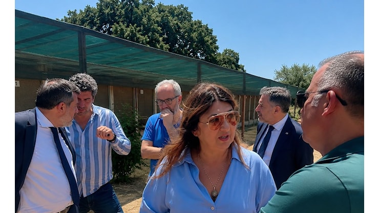 Randagismo, la Regione accelera: tour nei canili, tavolo permanente e norme pronte al voto. ‘Territorio e legge devono camminare insieme’ - Corriere di Lamezia