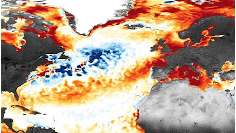 Mari e oceani da record a giugno 2026: il Mediterraneo bollente minaccia gli ecosistemi