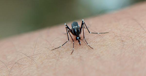 Primo caso di West Nile dell'estate: uomo ricoverato a Padova