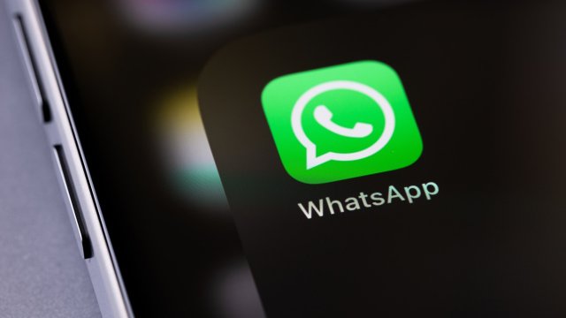 Cos'è WhatsApp Plus, quanto costa e quando arriva in Italia