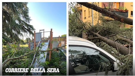 Maltempo in Emilia-Romagna, la conta dei danni tra Bologna e Modena. Nel riminese solo alberi caduti e blackout