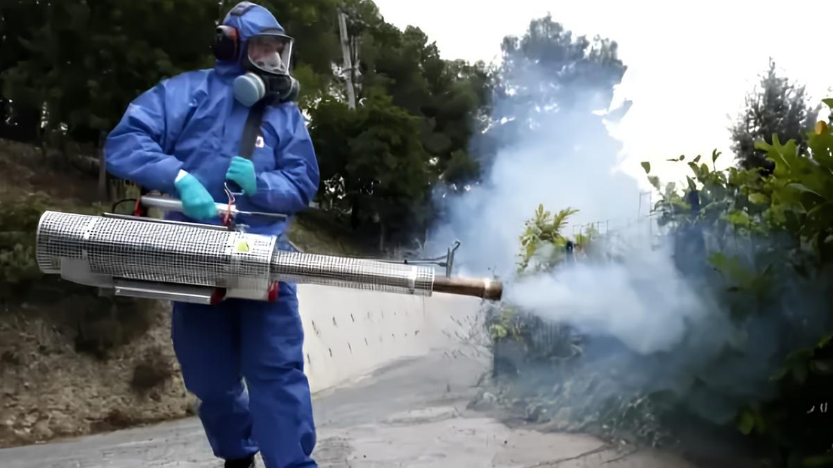 Lotta al virus West Nile. L’ordinanza del Comune. Obbligo di trattamenti per gli eventi all’aperto