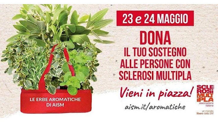 Sclerosi multipla, al via la Settimana nazionale: ricerca, diritti e diagnosi precoce al centro dell’Agenda 2030 - sanitainformazione.it