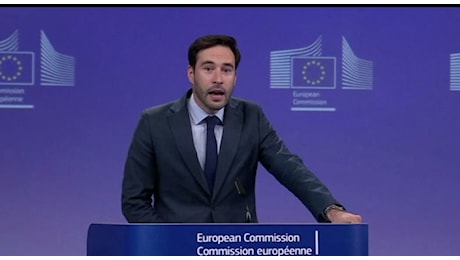 Aliexpress, multa di 550 milioni dall'Ue per la vendita di prodotti illegali (giocattoli pericolosi e abbigliamento contraffatto) VIDEO