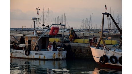 Pesca, riparte la marineria di San Benedetto del Tronto: uscite ridotte e sciopero il 22 ottobre contro il caro gasolio