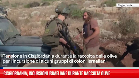 Cisgiordania, dieci arresti dopo gli attacchi durante la raccolta delle olive