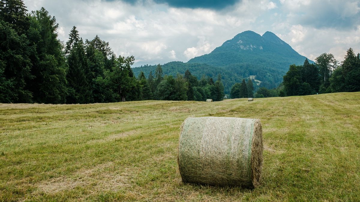 Valtellina, bambino di un anno muore investito da un pick-up guidato da un familiare
