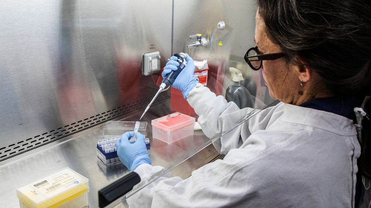 Botulino, la svolta italiana che può cambiare la cura delle lesioni al midollo spinale