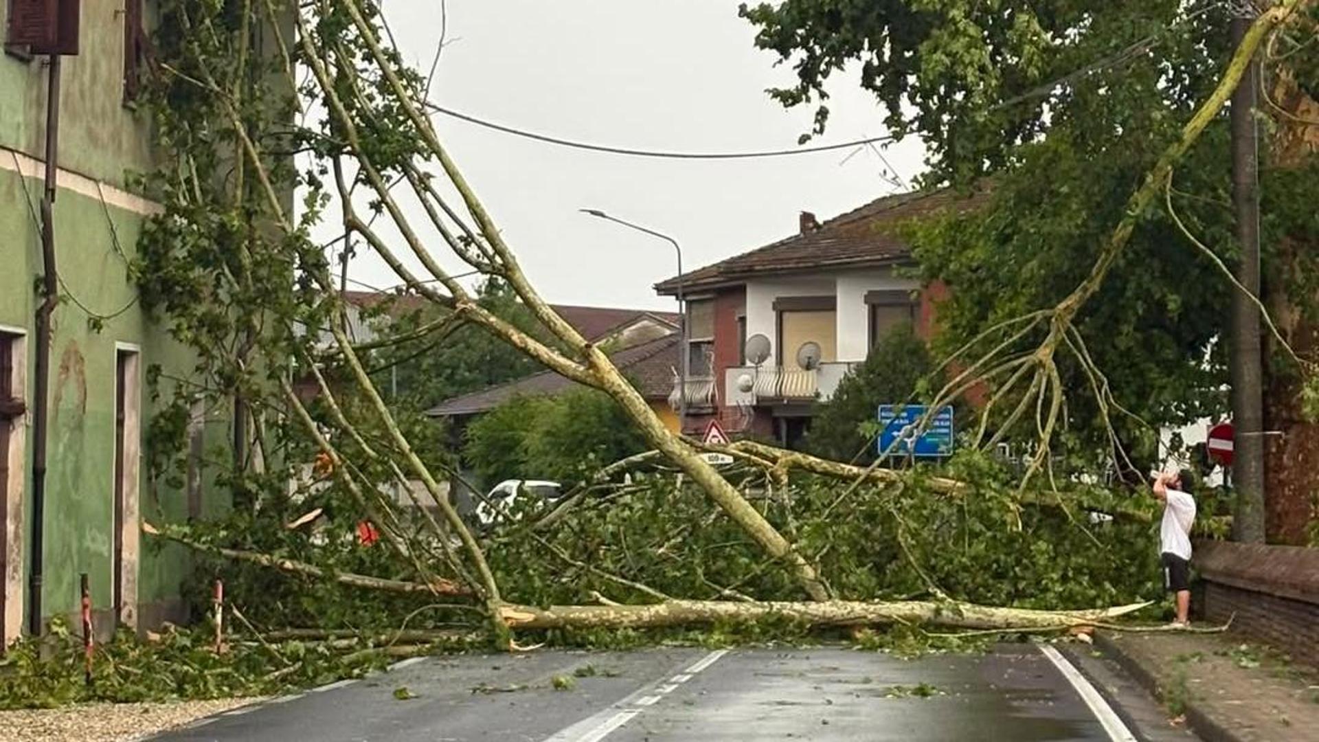 Alberi crollati e allagamenti, le foto dei danni provocati dal maltempo