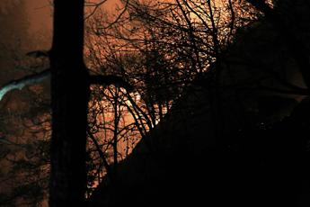 Incendi, Vigili del fuoco al lavoro dal Piemonte al Sud: Bruciati +15% ettari rispetto a scorso anno