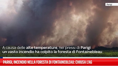 Parigi, incendio nella foresta di Fontainebleau: chiusa l'A6