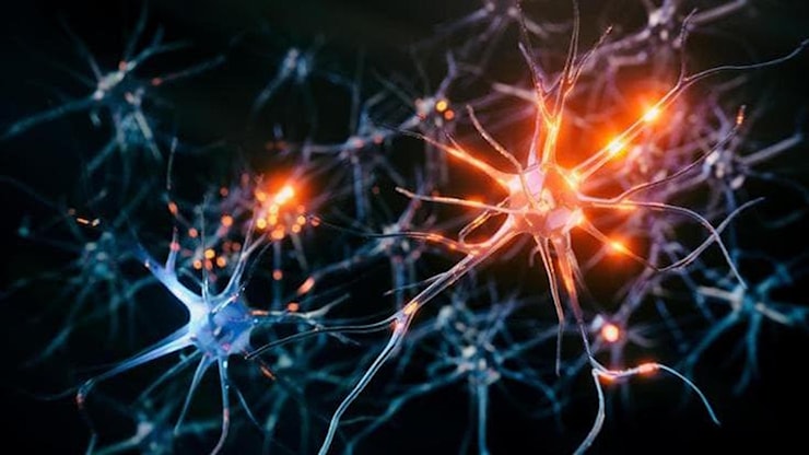 Una luce per il Parkinson: tecnologia con ultrasuoni può ridurre il tremore - la Repubblica