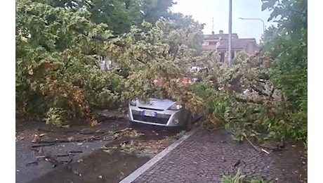 Dopo il caldo il temporale: auto schiacciata da un albero a Concordia, chiesa a Carpi colpita da un fulmine
