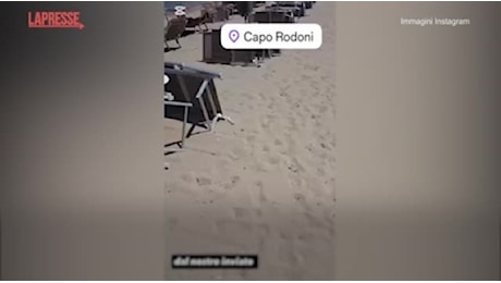 300 lettini rubati in Italia due anni fa, spuntano in spiaggia in Albania: video denuncia di un circolo di Reggio Emilia