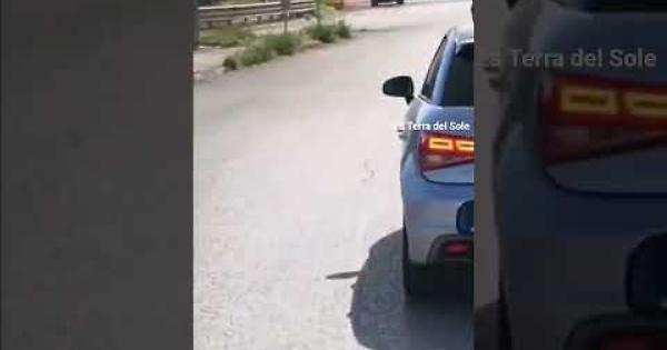 Assalto armato a un portavalori, banditi in fuga con il bottino. Il video