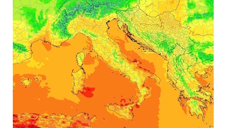 Caldo record fino a 50 gradi in Italia, la previsione dell'Ecmwf sull'inferno di agosto