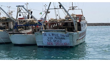 Caro gasolio, la pesca resta fuori dal tetto Eni: rincari fino al 200% e pescherecci fermi in porto
