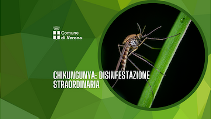 Emergenza sanitaria: caso di Chikungunya, disposta la disinfestazione straordinaria dal 16 al 18 luglio compreso in alcune vie di Borgo Trento - Comune di Verona