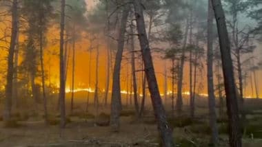 Vasto incendio nella foresta di Fontainebleau alle porte di Parigi