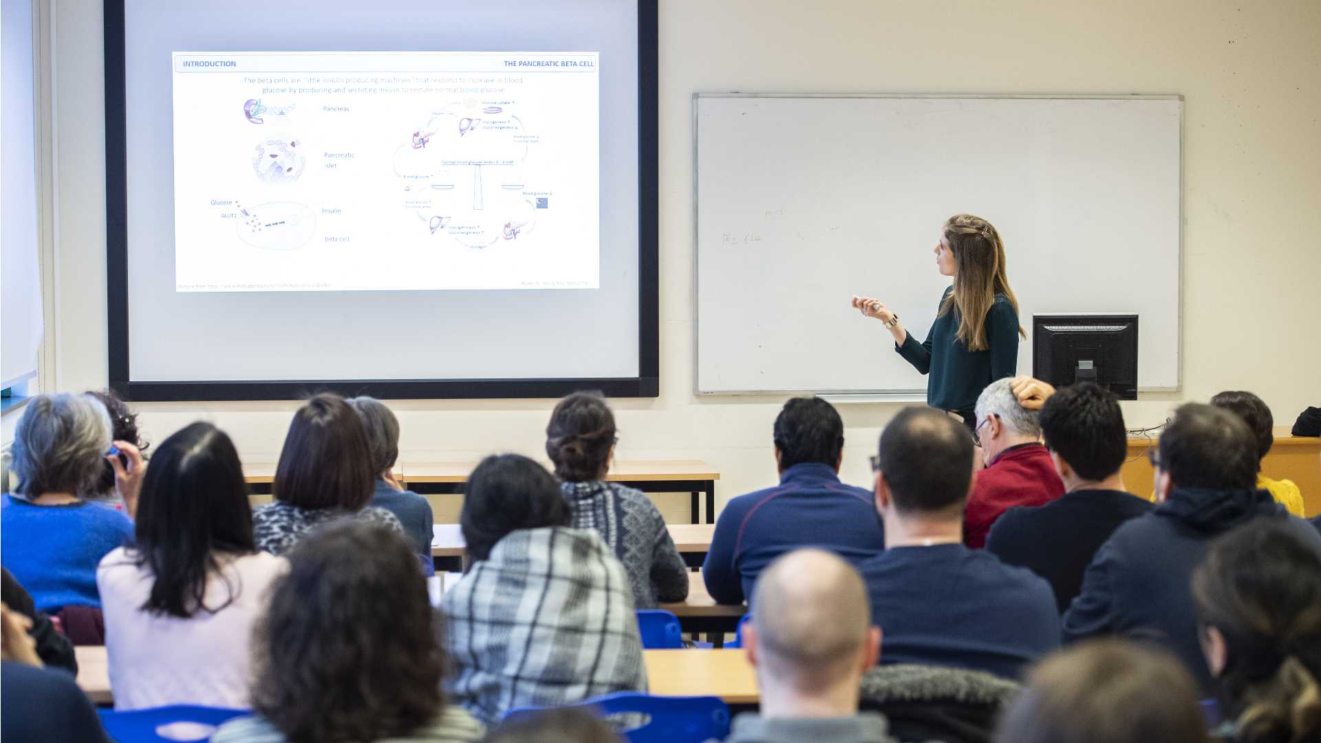 Università, professori reclutati secondo «produttività e qualità»