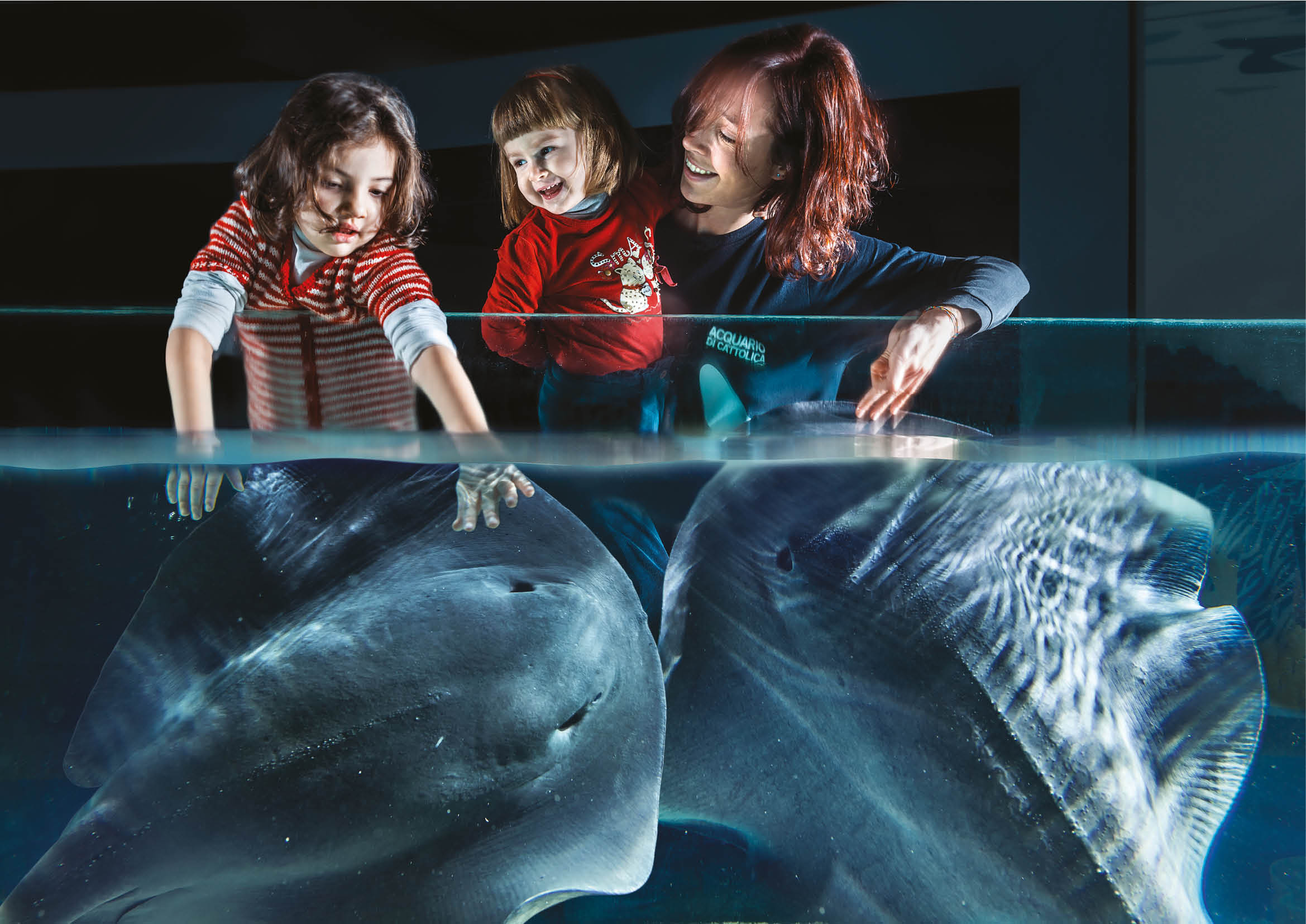 ALL’ACQUARIO DI CATTOLICA L’ORARIO DI VISITA SI PROLUNGA FINO ALLE ORE 23.30